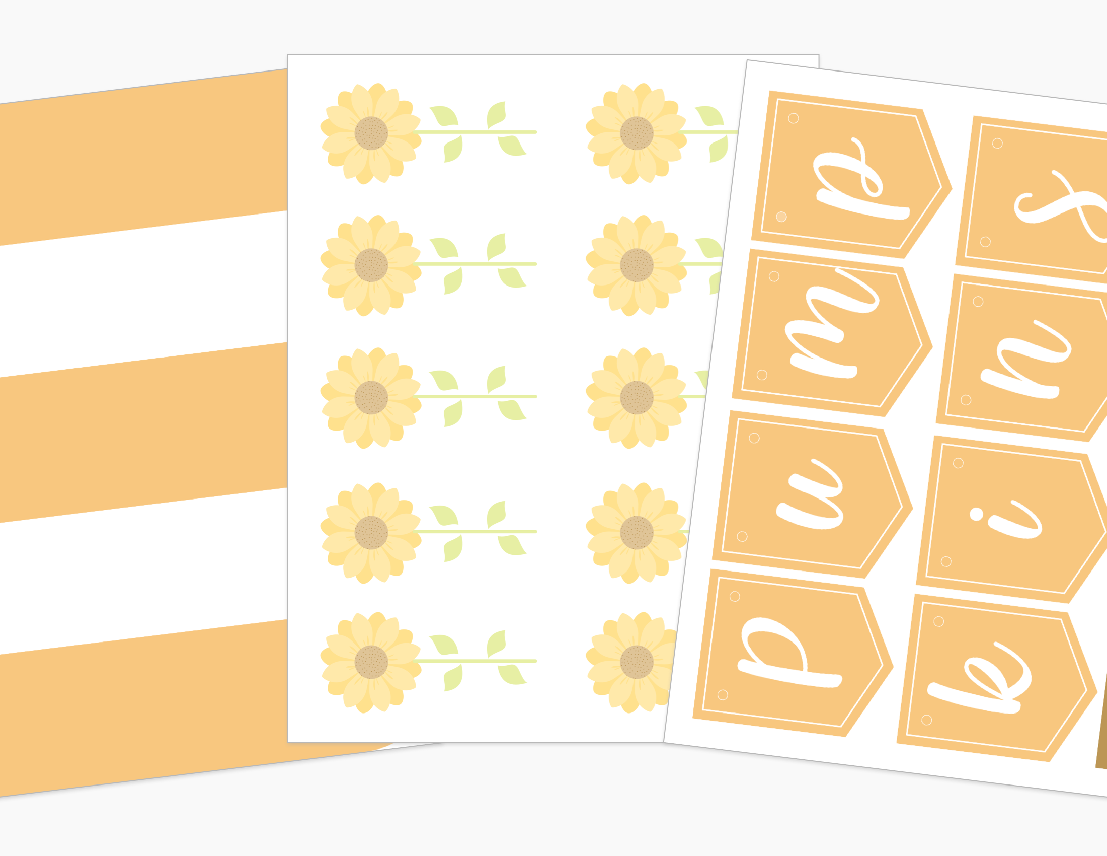 Pumpkin Patch Printable Dramatic Play