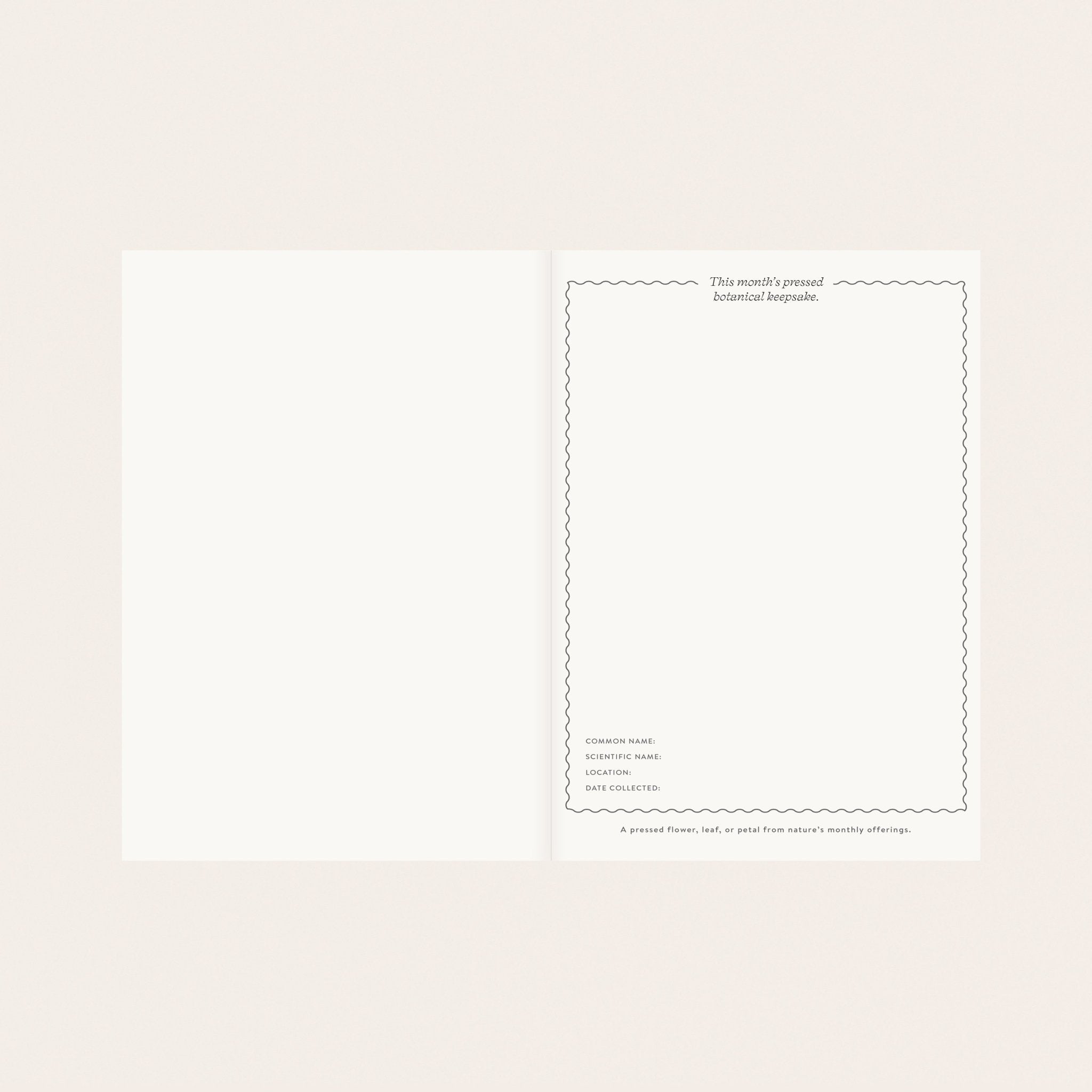 HERBARIUM | LINEN-BOUND PLANNER