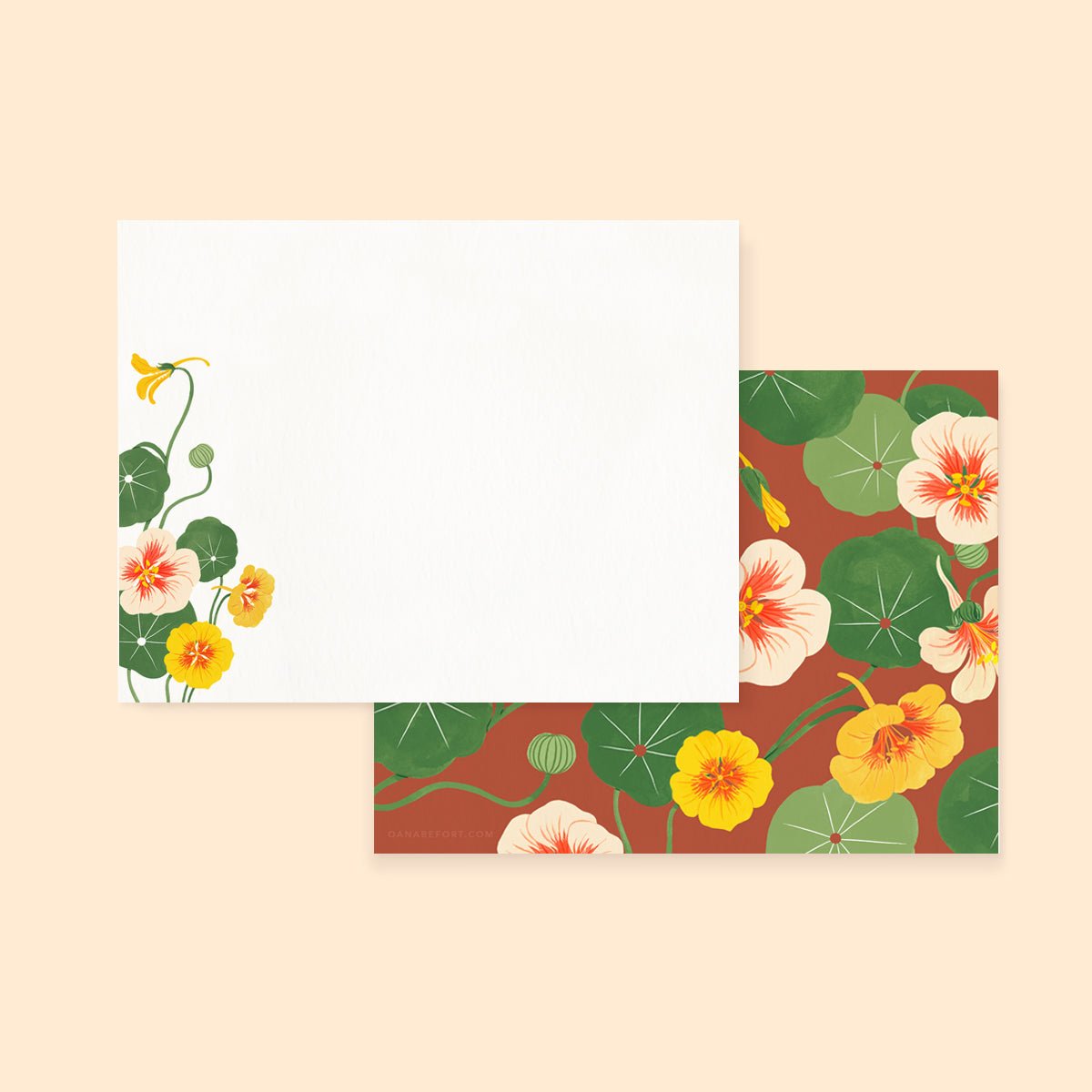 NASTURTIUM  Notecards | Set of 4
