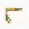 NASTURTIUM  Notecards | Set of 4