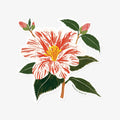 CAMELLIA | CLEAR VINYL STICKER