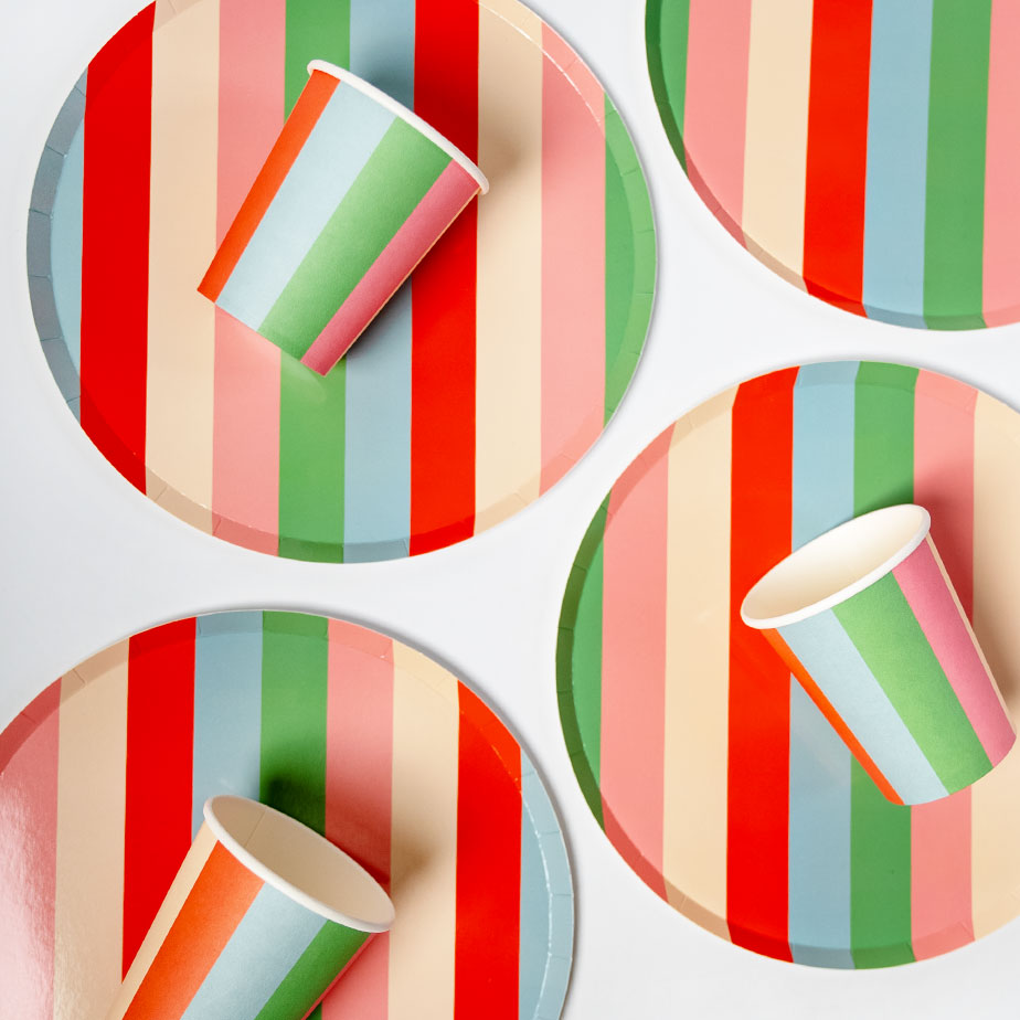 Striped Plates x12 Bright Bold Party Paper Plates Every Occasion