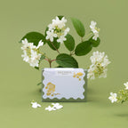 GOLD VIBURNUM | Mini Boxed Cards of 8