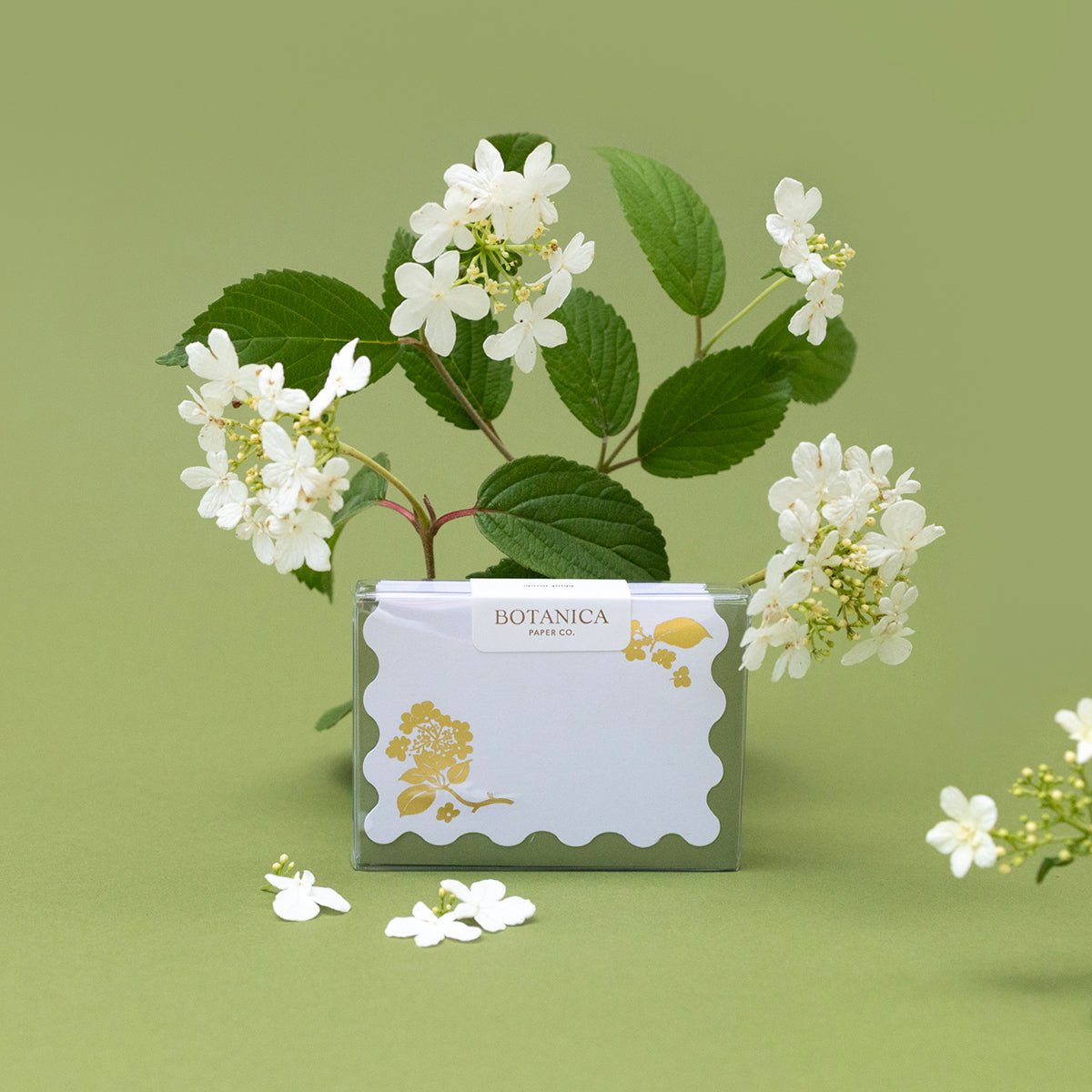 GOLD VIBURNUM | Mini Boxed Cards of 8