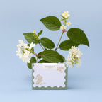 GOLD VIBURNUM | Mini Boxed Cards of 8