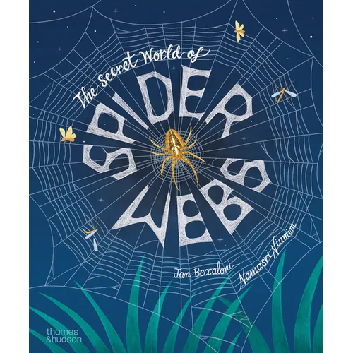 The Secret World of Spiderwebs