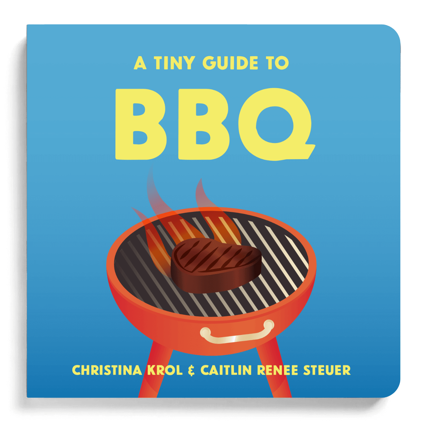 A Tiny Guide to BBQ