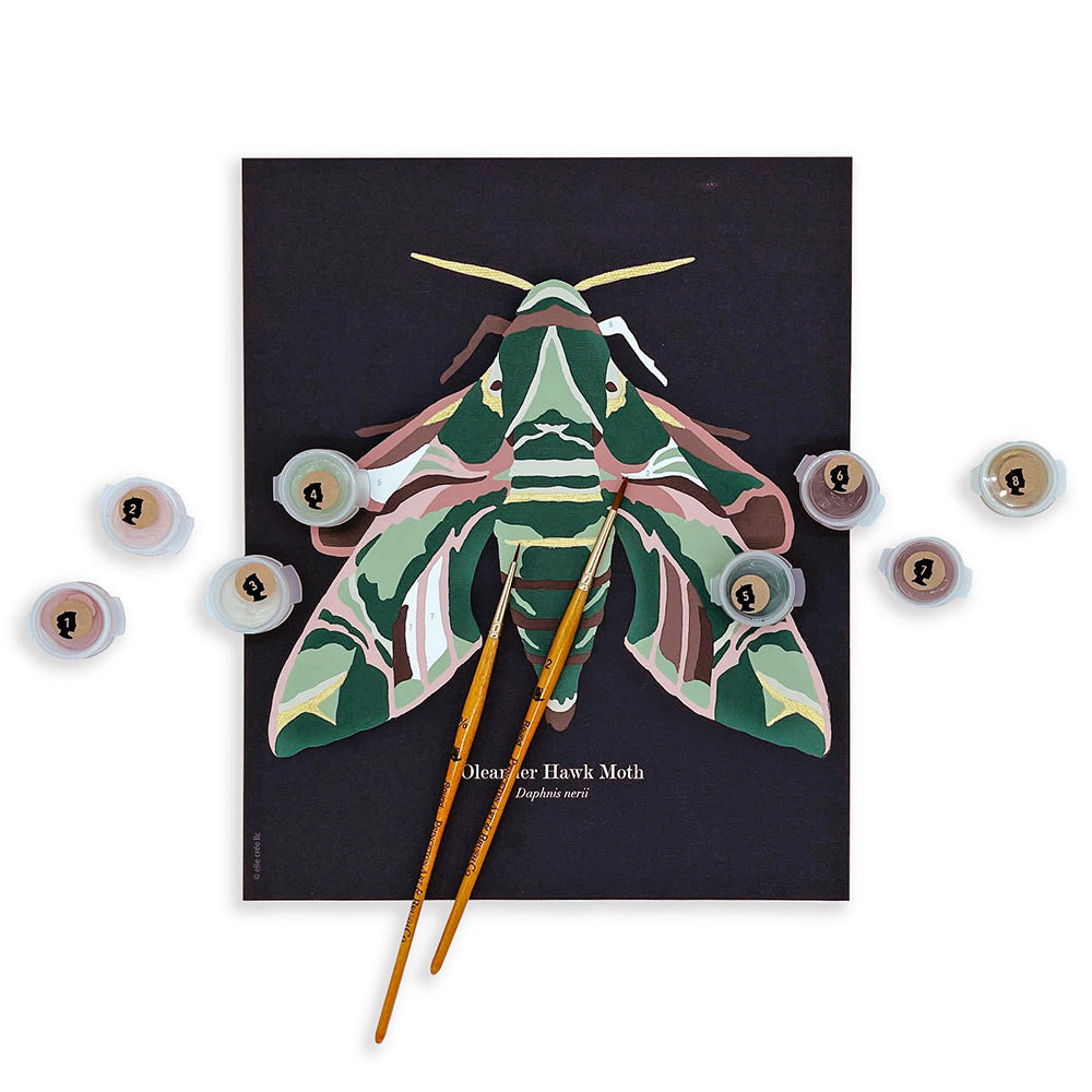 Oleander Hawk Moth | 8x10 paint-by-number kit