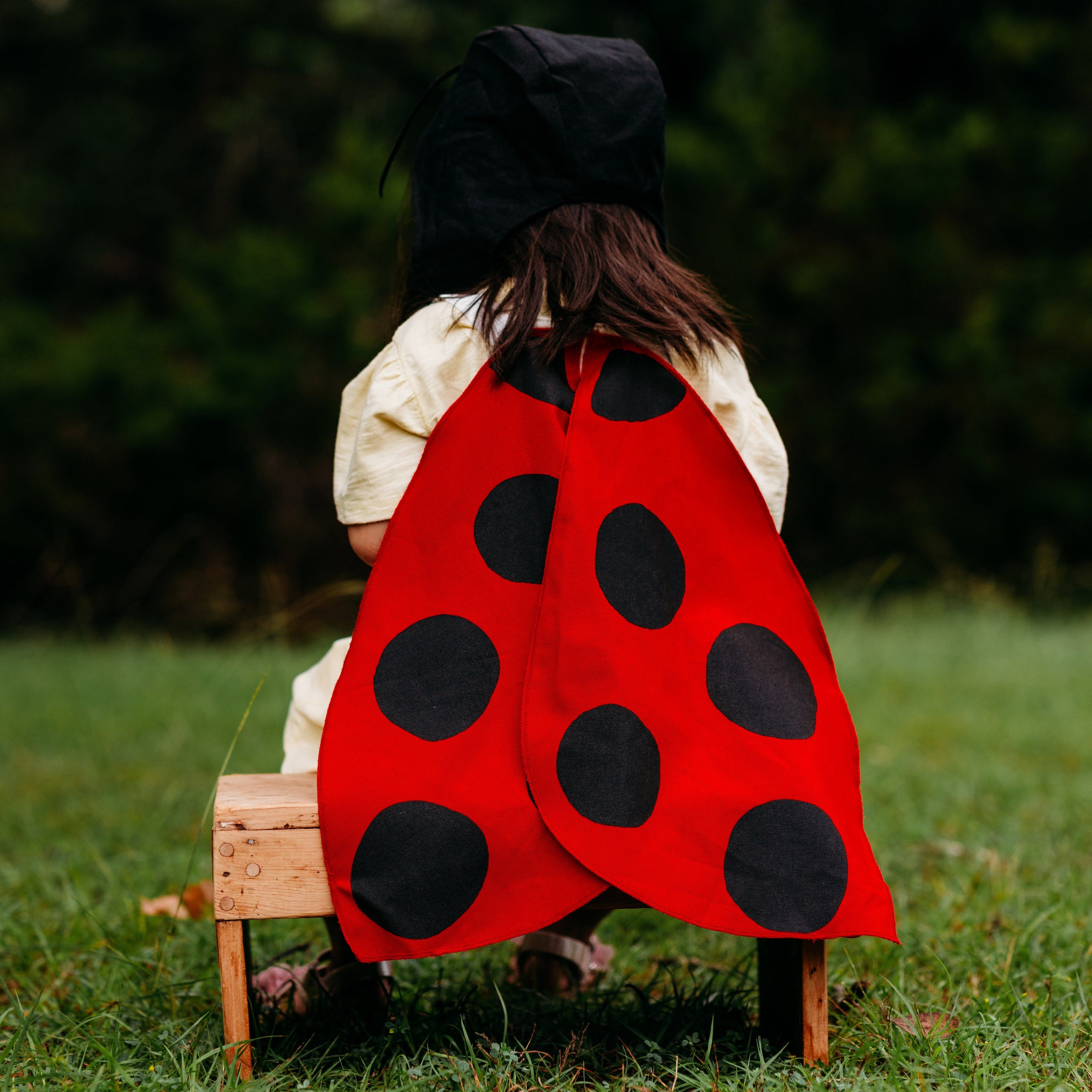 Ladybug Wings Costume