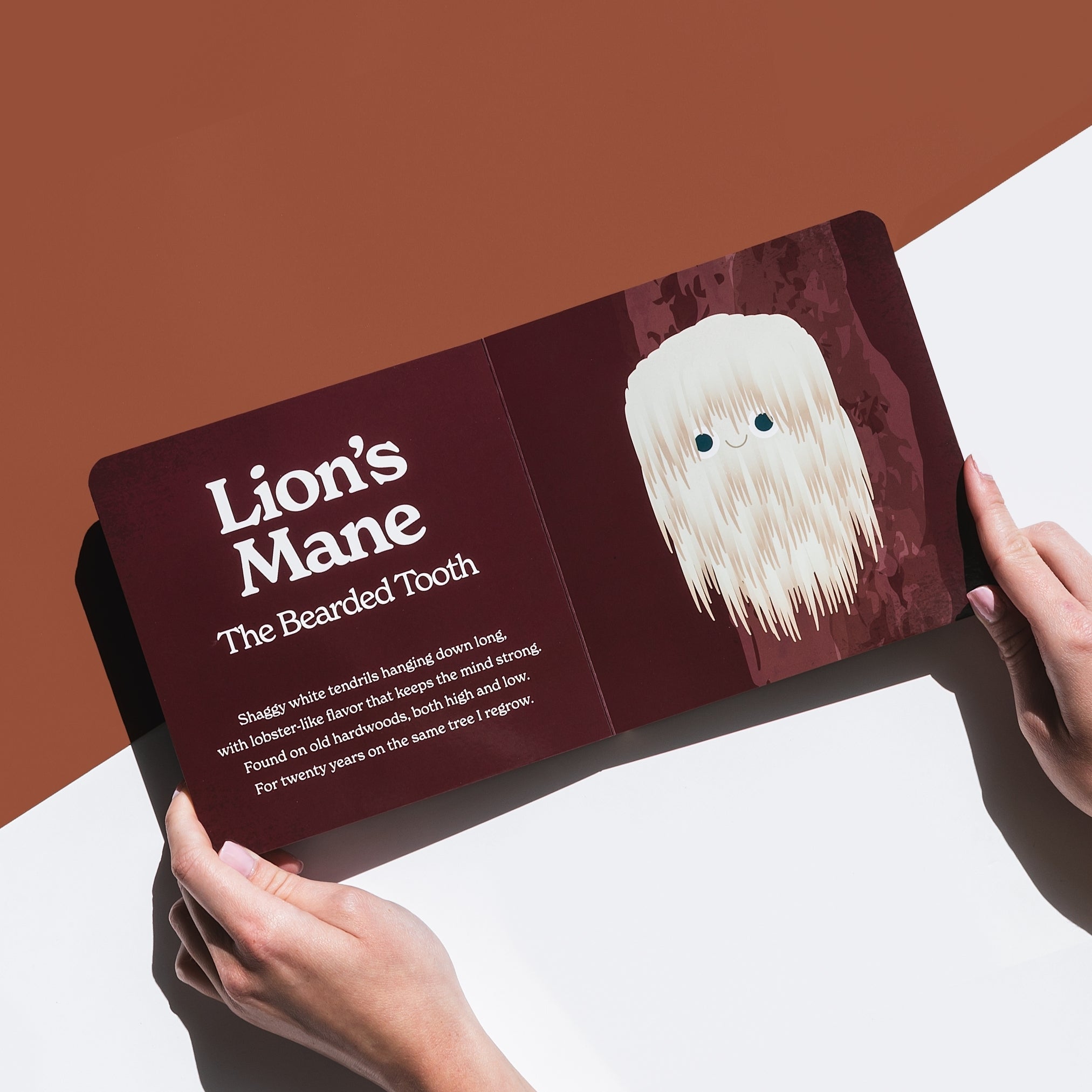 Little Books: Starter Collection