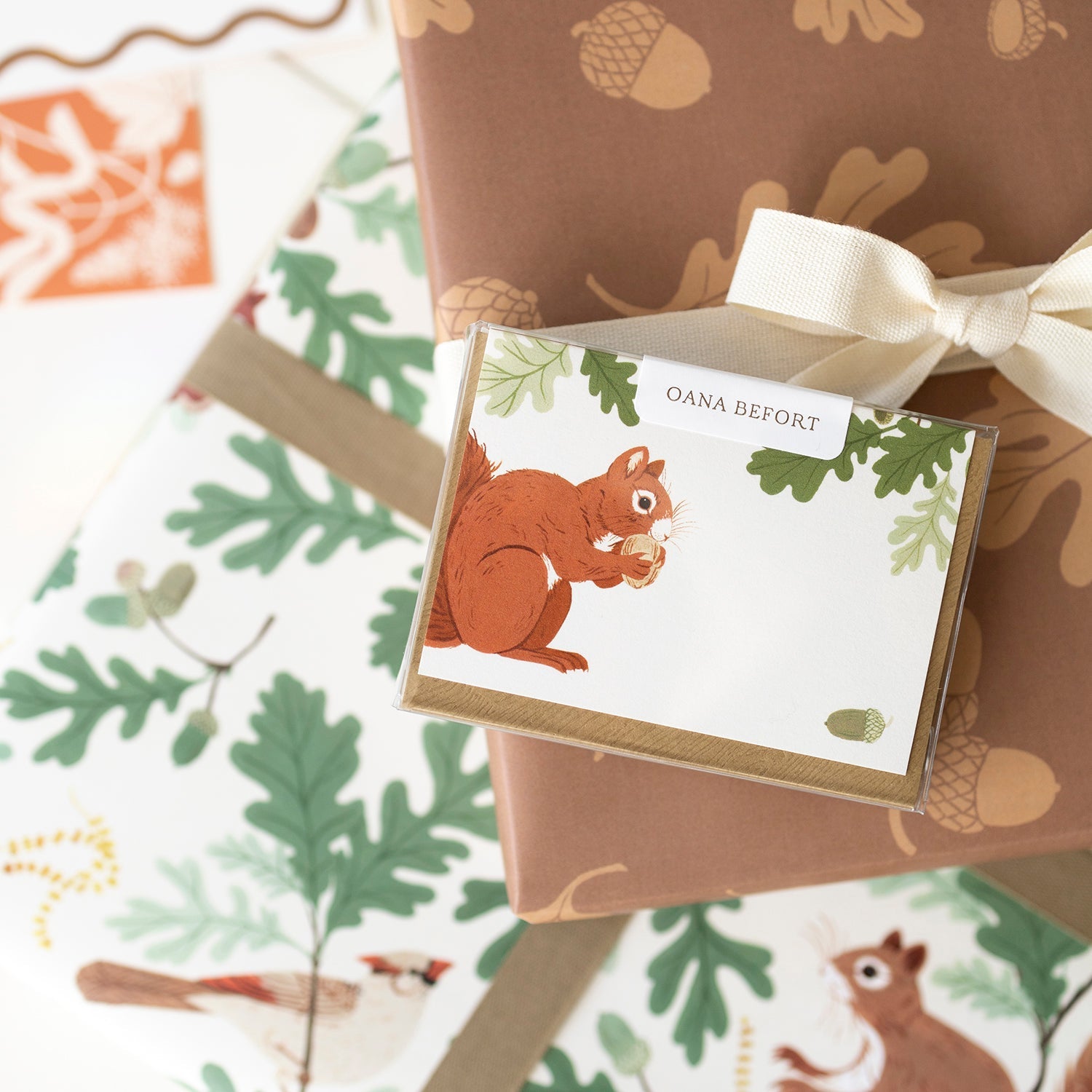 SQUIRREL | Mini Boxed Cards of 8