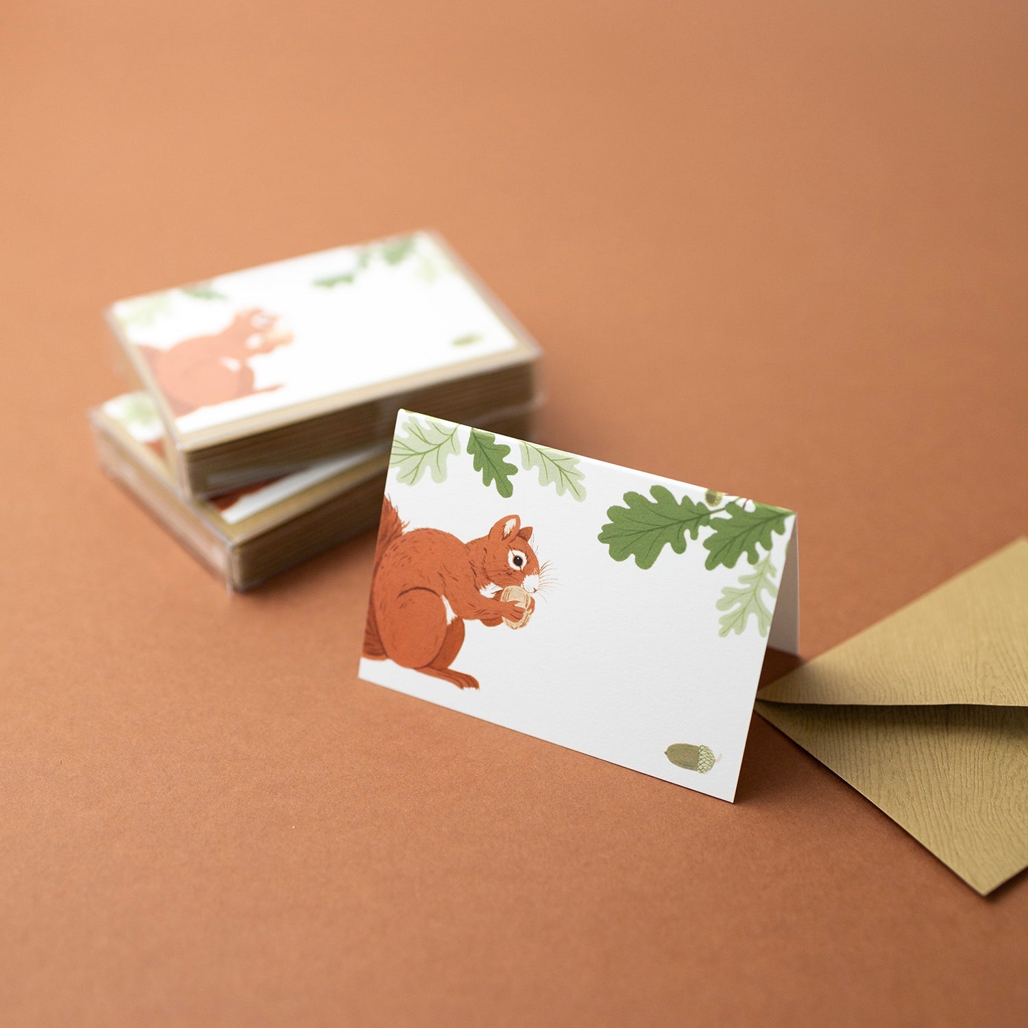 SQUIRREL | Mini Boxed Cards of 8