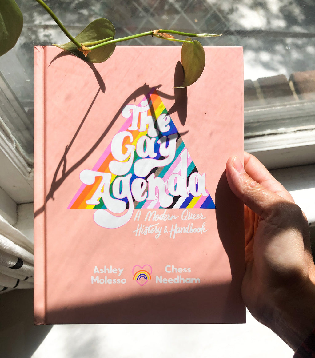 The Gay Agenda: A Modern Queer History & Handbook