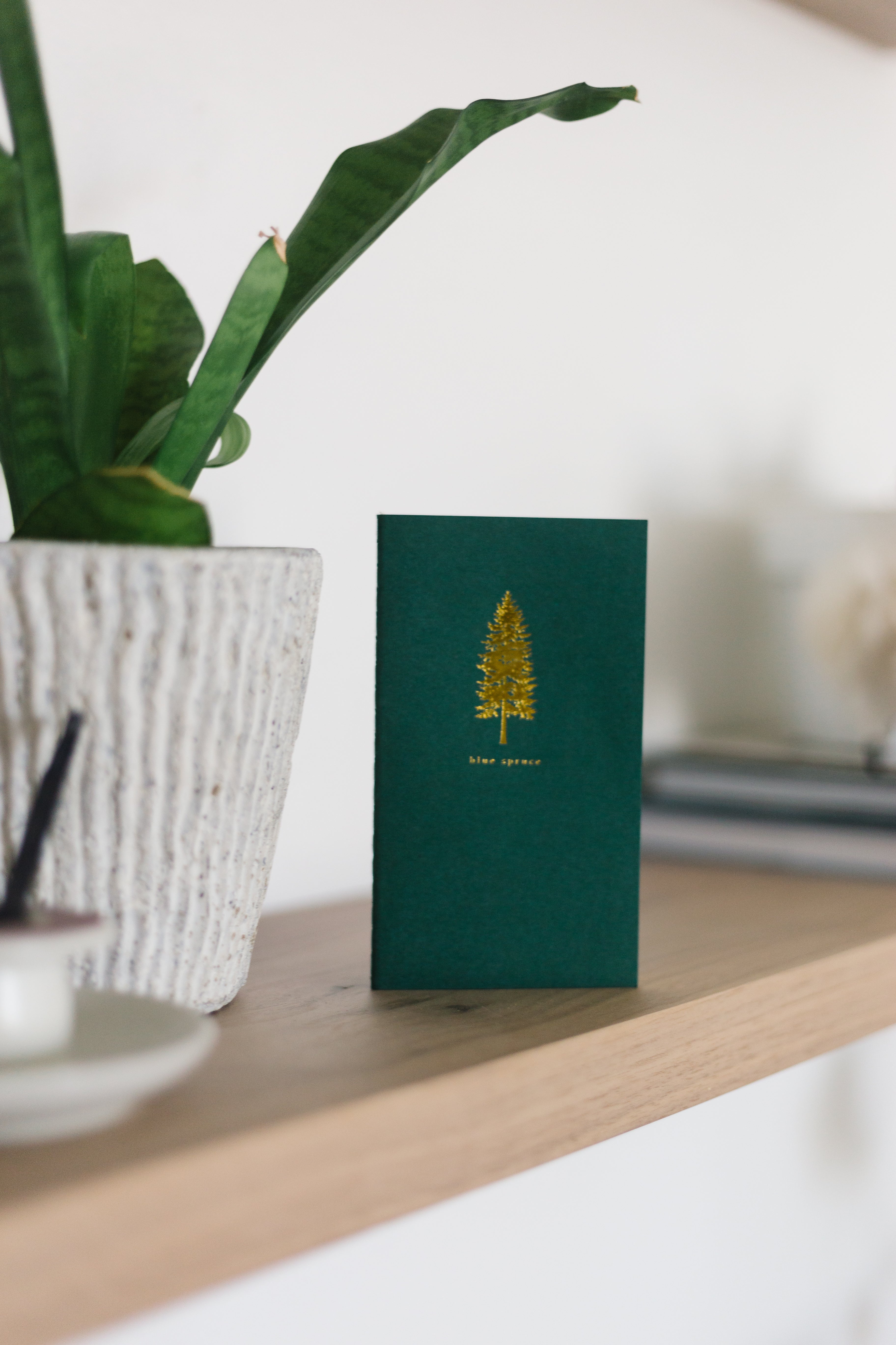 Blue Spruce Mini Saddle Stitch Notebook | Pine Tree Notebook