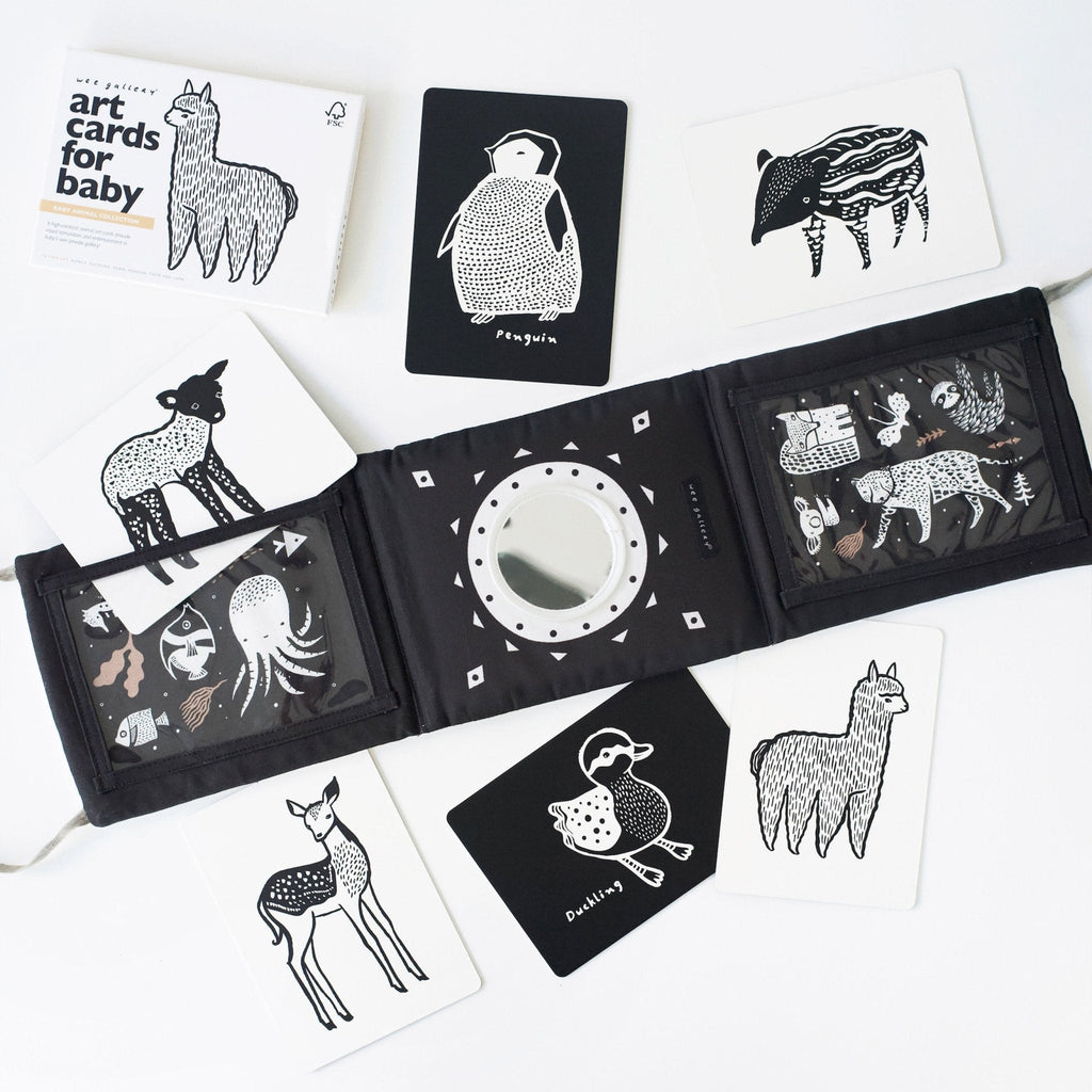 Baby Tummy Time Gallery with Mirror Gift Set