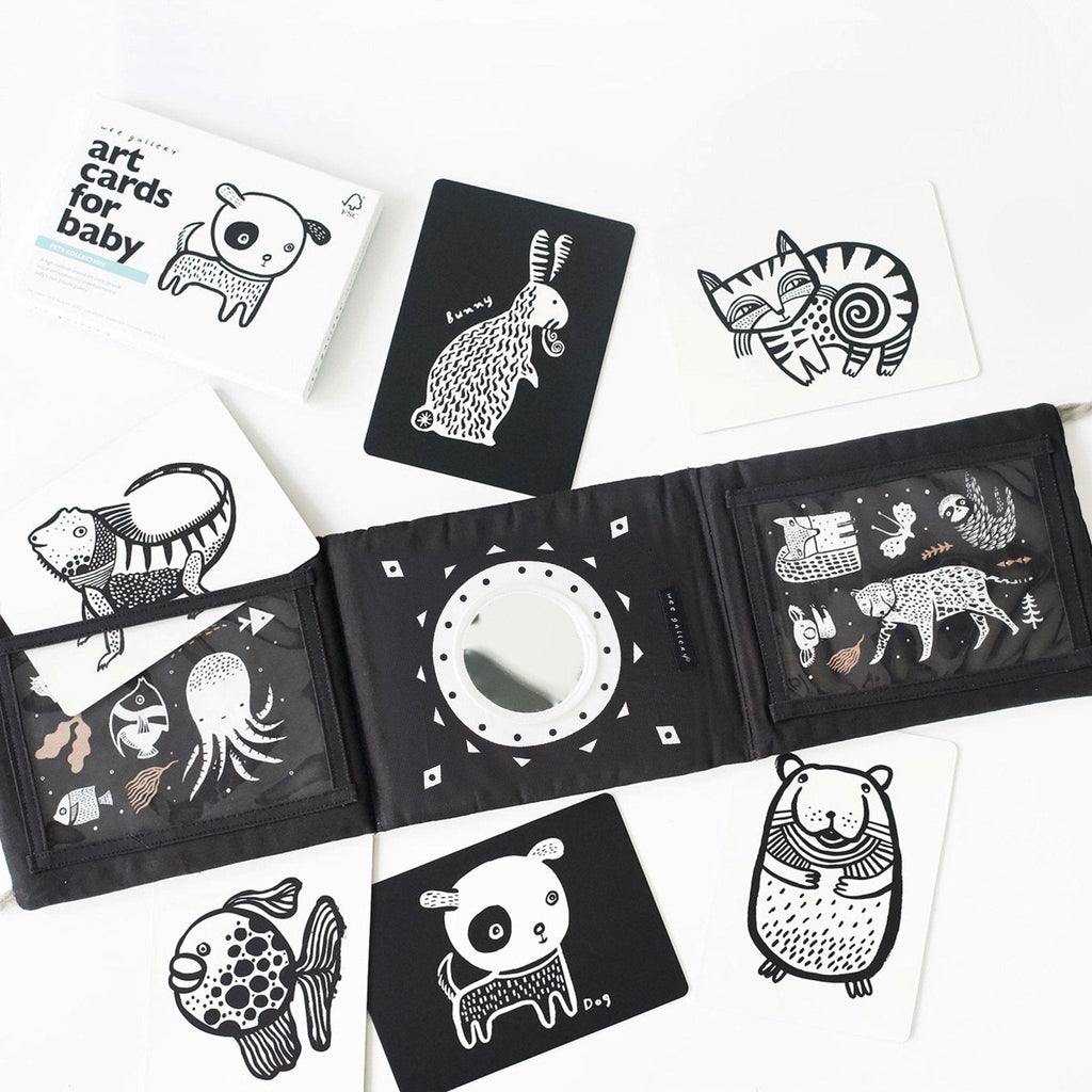 Baby Tummy Time Gallery with Mirror Gift Set