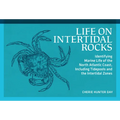 Life on Intertidal Rocks: Identifying Marine Life of the North Atlantic Coast, Including Tidepools and the Intertidal Zones