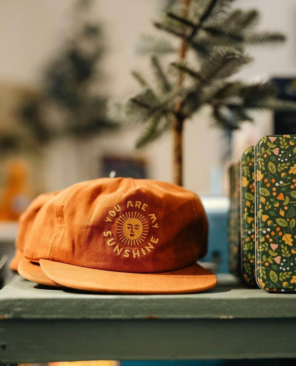 You Are My Sunshine Hat