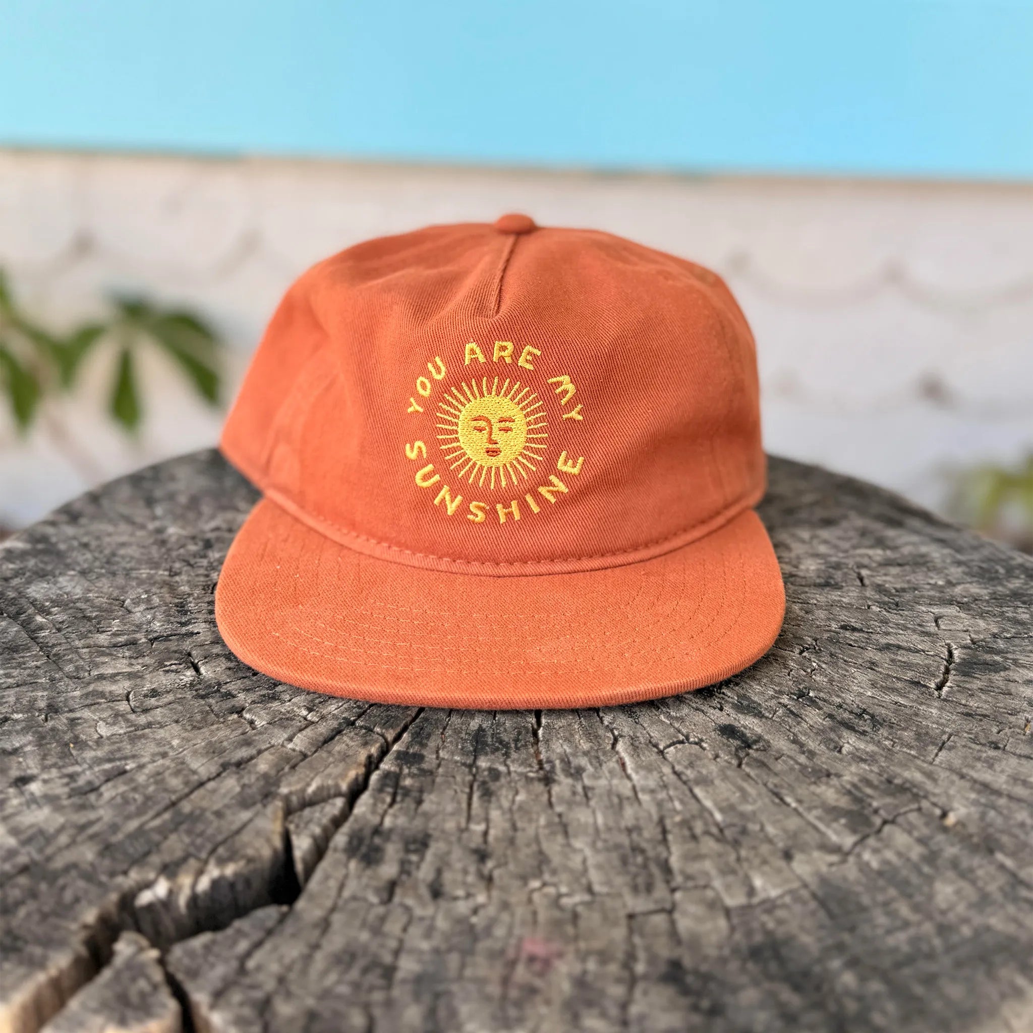 You Are My Sunshine Hat - Twinsie Set
