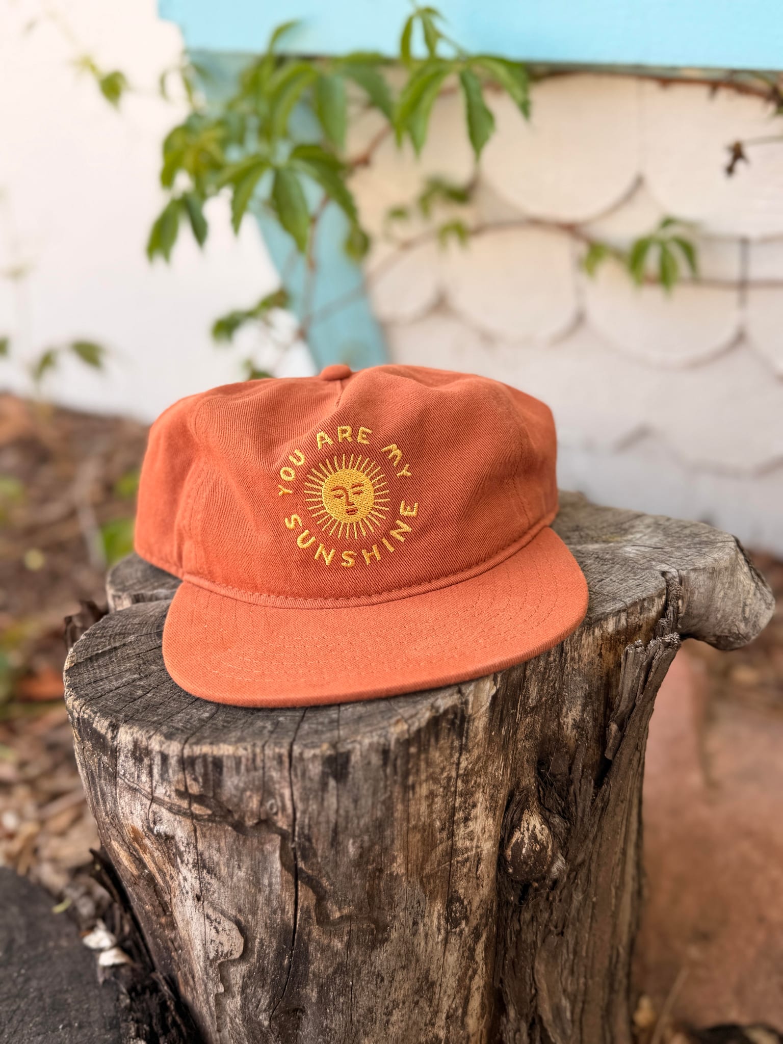 You Are My Sunshine Hat